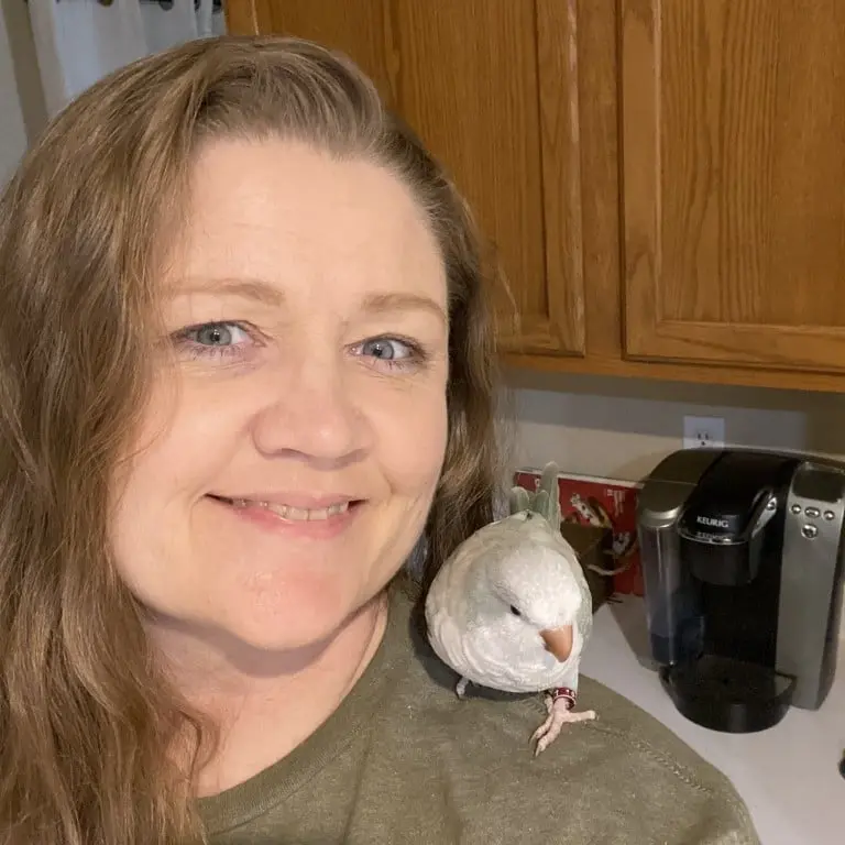 Tolleson Pet Sitter