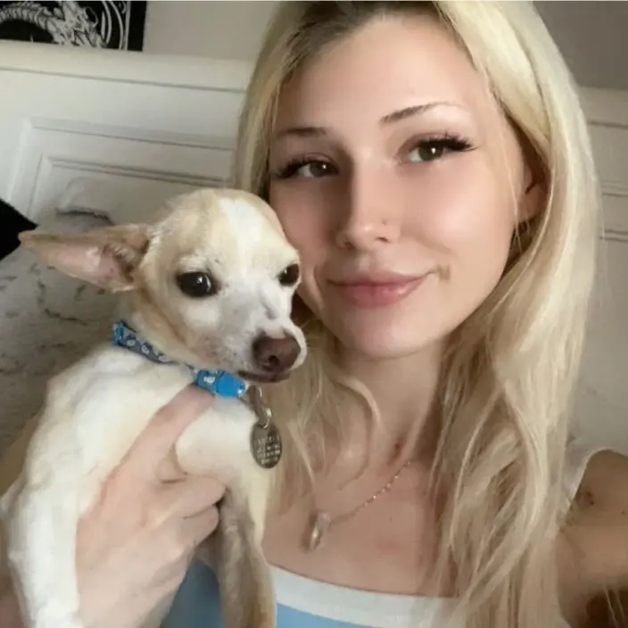 Reagan Mesa Pet Sitter