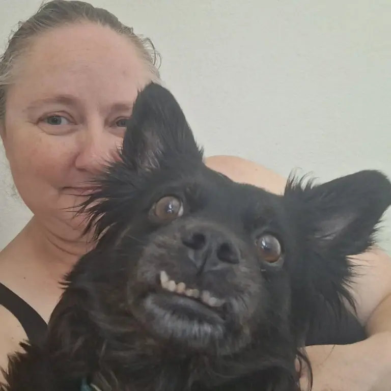 meagan phoenix pet sitter